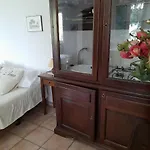 Giomici Bio *