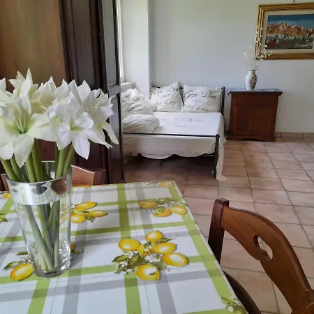 Giomici Bio *