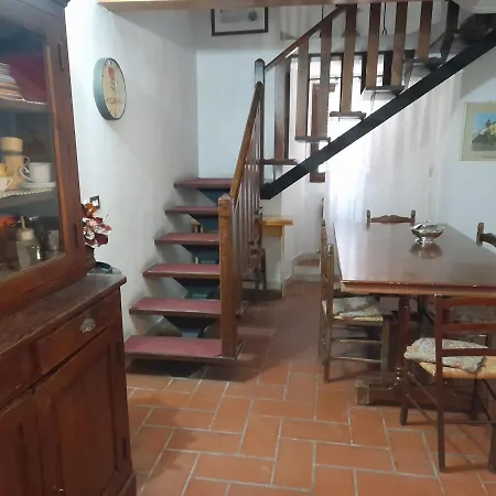 Giomici Bio *