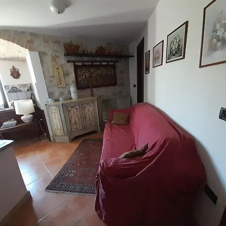 Giomici Bio *