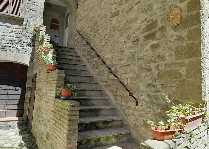 Giomici Bio * Valfabbrica